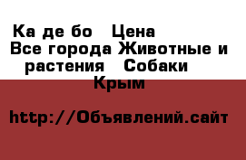 Ка де бо › Цена ­ 25 000 - Все города Животные и растения » Собаки   . Крым